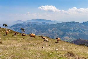 Mirador del Fito Asturien