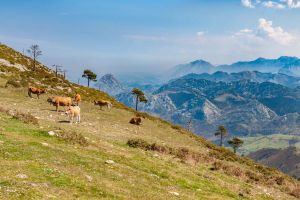 Mirador del Fito Asturien