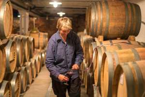 Weinkeller Weingut Schwarzwald