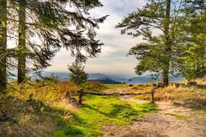 Startplatz West Zuflucht Roßbühl