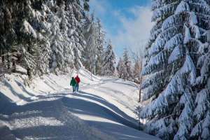 Hochschwarzwald bei Kniebis