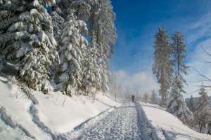Hochschwarzwald bei Kniebis 2