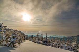 Hochschwarzwald bei Kniebis
