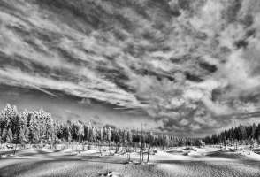 Hochschwarzwald bei Kniebis