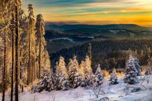 Rheintal im Hintergrund