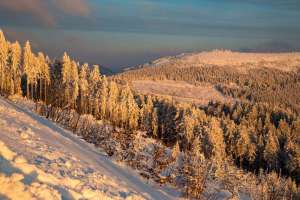 Hochschwarzwald bei Mummelsee