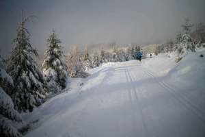 Schnee Langlaufloipe Lotharpfad