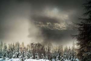 Schnee Langlaufloipe hinter dem Lotharpfad