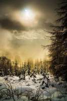 Schnee Langlaufloipe hinter dem Lotharpfad