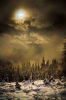Schnee Langlaufloipe hinter dem Lotharpfad