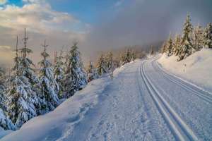 Hoher Schwarzwald nach starkem Schneefall