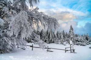 Hoher Schwarzwald nach starkem Schneefall