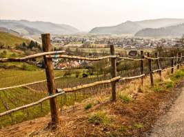 Kinzigtal bei Gengenbach