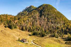 Walleralm Wilder Kaiser