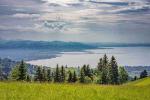 Blick auf den Bodensee oberhalb von Bregenz