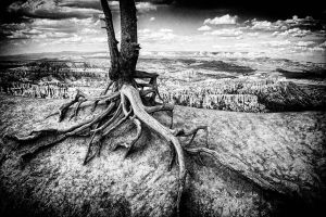 Bryce Canyon Nationalpark