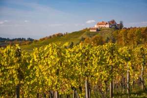 Schloss Staufenberg Durbach