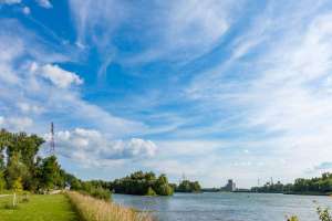 Rhein bei Kehl