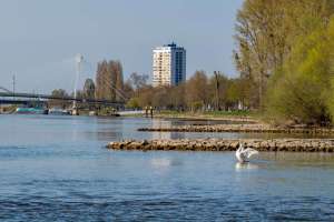 Kehl am Rhein