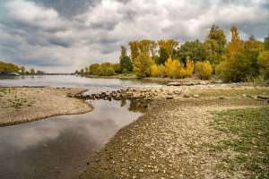 Kehl am Rhein