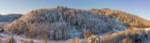 Schneebedeckter Wald in Oberkich